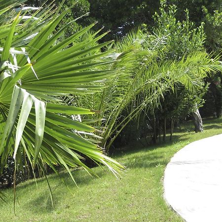 Appartement Dans Villa St Raphael Saint-Raphaël エクステリア 写真