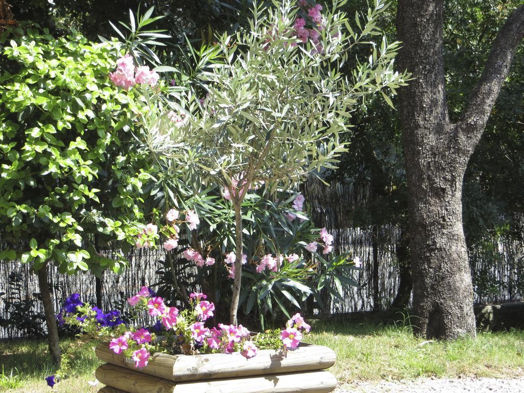 Appartement Dans Villa St Raphael Saint-Raphaël 部屋 写真